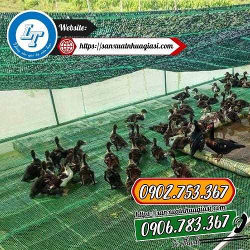 Ứng dụng của lưới nhựa dẻo Ứng dụng của lưới nhựa dẻo