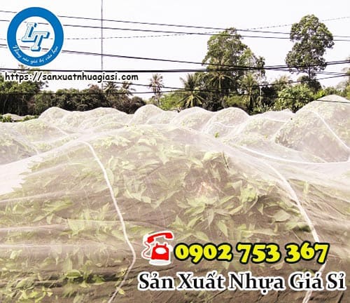 Lưới bảo vệ cây trồng giá sỉ rẻ tại Lê Thanh