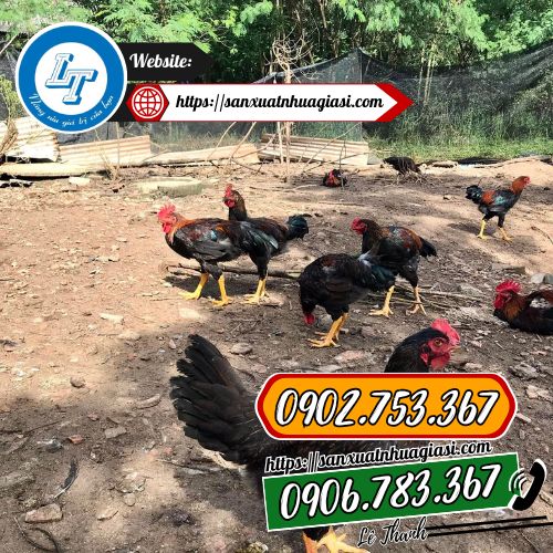 Lưới che nắng ngoài trời dùng để quây vườn, quây chuồng Lưới che nắng ngoài trời dùng để quây vườn, quây chuồng