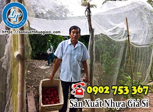Lưới trùm mận giúp tăng năng suất cây trồng