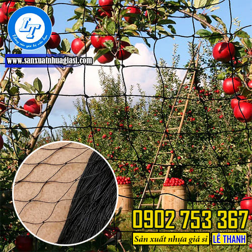 Lưới cước làm vườn rau