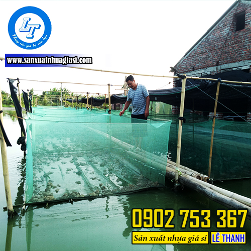 Lưới cước nuôi trồng ếch thương phẩm