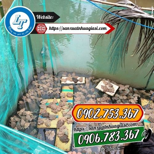 Lưới rọ xanh làm vèo nuôi ếch Lưới rọ xanh làm vèo nuôi ếch