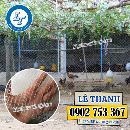 Lưới cước trắng rào gà