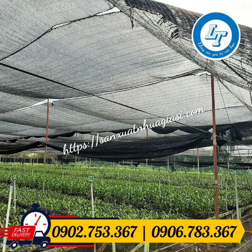 Sử dụng lưới che nắng để bảo vệ vườn rau Sử dụng lưới che nắng để bảo vệ vườn rau nhà bạn