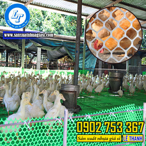 Lưới nhựa mắt cáo có độ chắc chắn có thể dùng lót sàn chuồng gà