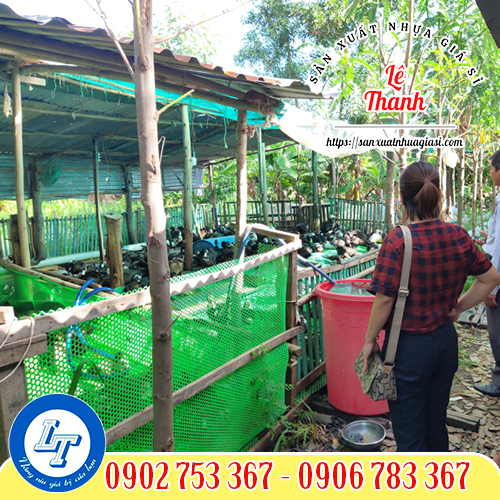 Lưới mắt cáo quây chuồng gà vịt Lưới mắt cáo quây chuồng gà vịt