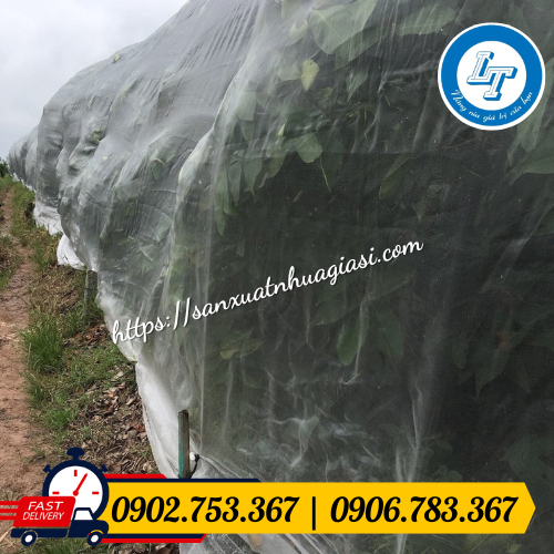 Lưới mùng che phủ vườn tiêu, vườn trái cây Lưới mùng che phủ vườn tiêu, vườn trái cây