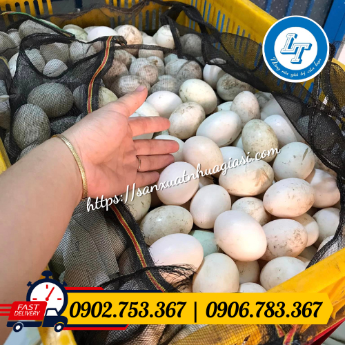 Lưới mùng đóng gói trứng vịt Lưới mùng đóng gói trứng vịt