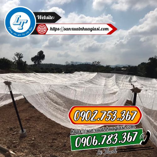 Lưới mùng trắng sử dụng trong nông nghiệp Lưới mùng trắng sử dụng trong nông nghiệp