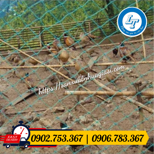 Lưới ngăn gà vịt Lưới ngăn gà vịt