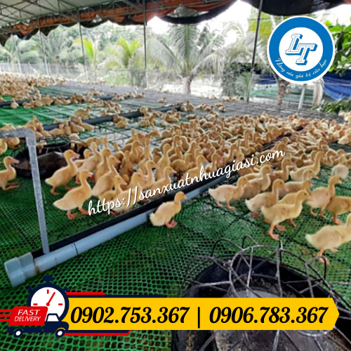 Lưới ngăn gà vịt Lưới ngăn gà vịt