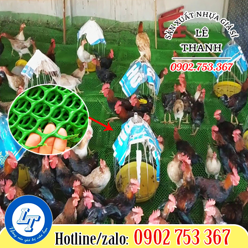 Công dụng lót chuồng gà của lưới nhựa