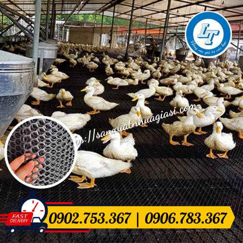 Lưới nhựa đen được dùng để lót sàn gà vịt Lưới nhựa đen được dùng để lót sàn gà vịt
