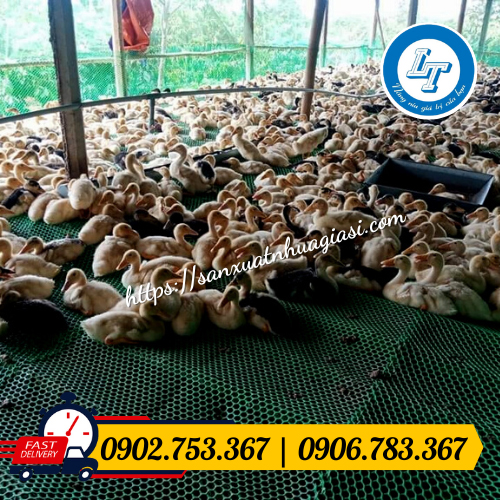 Lưới ngăn gà vịt Lưới ngăn gà vịt