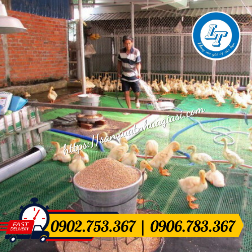 Lưới nhựa mắt cáo dùng để lót chuồng chăn nuôi Lưới nhựa mắt cáo dùng để lót chuồng chăn nuôi