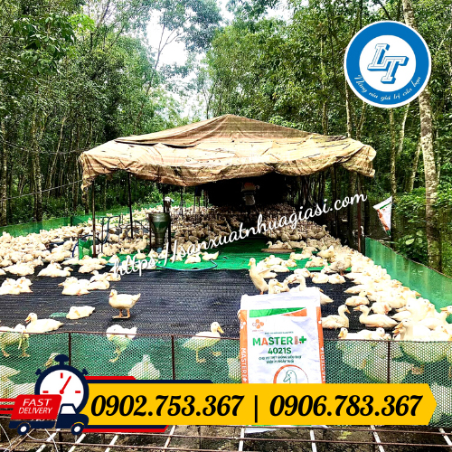 Ứng dụng của lưới nhựa trong nông nghiệp Ứng dụng của lưới nhựa trong nông nghiệp