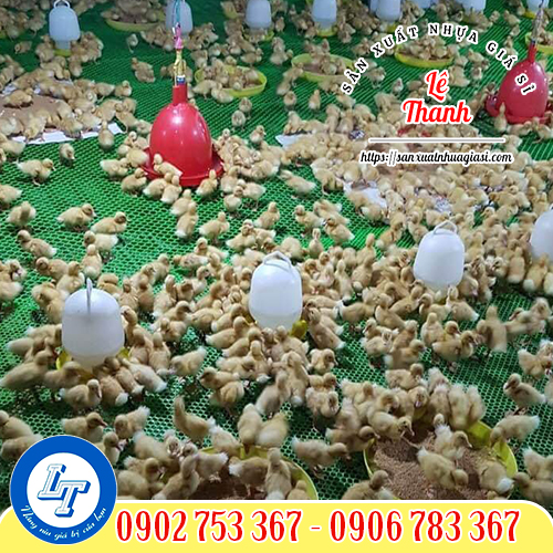 Lưới nhựa xanh làm chuồng gà Lưới nhựa xanh làm chuồng gà