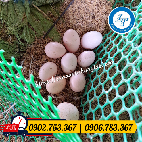 Lưới nhựa rất được ưa chuộng trong nông nghiệp Lưới nhựa rất được ưa chuộng trong nông nghiệp