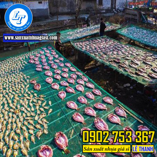 Lưới phơi khô, con ruốc, con mực