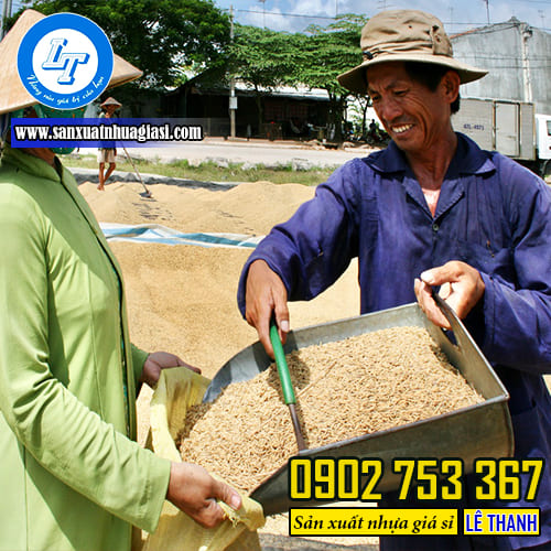 Lưới phơi lúa 24-32 mesh