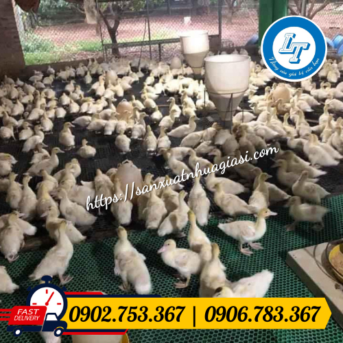 Lưới sàn lót chuồng gà vịt Lưới sàn lót chuồng gà vịt