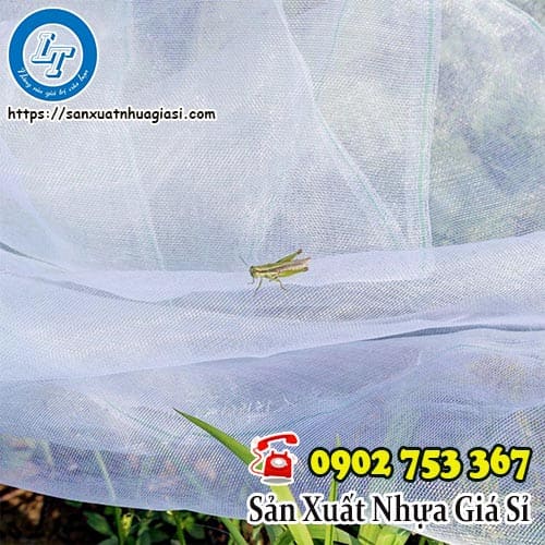 Lưới trùm mận hạn chế các loại côn trùng và sâu bọ