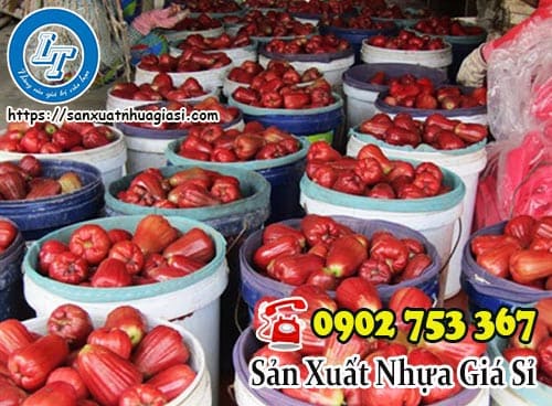 Lựa chọn lưới trùm cho vườn mận để cây trồng phát triển tốt hơn