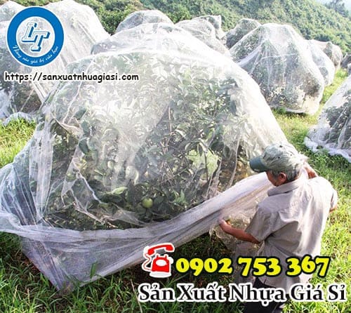 Lưới trùm ổi