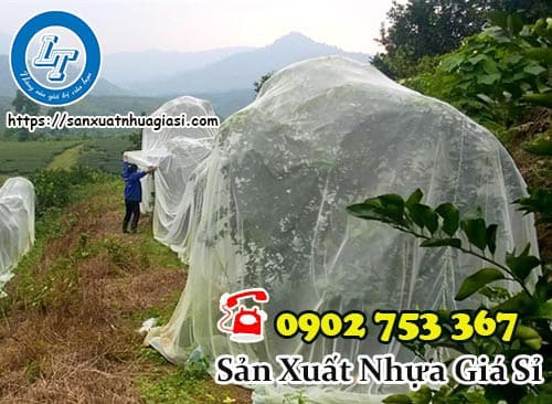 Công dụng của lưới trùm cây ăn trái