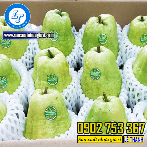 Xốp lưới bọc ổi kích thước15cm