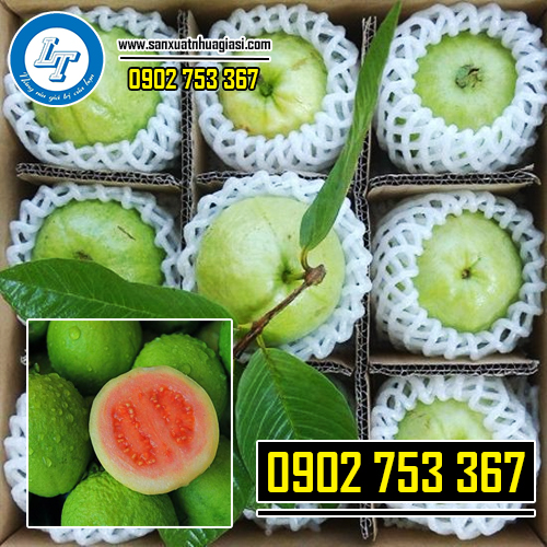 Lưới xốp bọc trái cây xuất khẩu