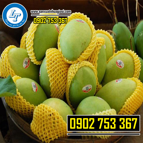 Lưới xốp bọc trái cây giúp quả bắt mắt hơn