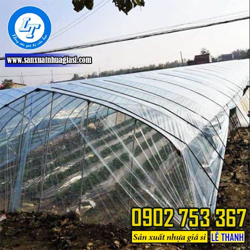 Màng nhà kính là gì?