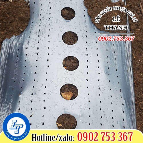 Màng phủ nông nghiệp hai mặt bạc đen
