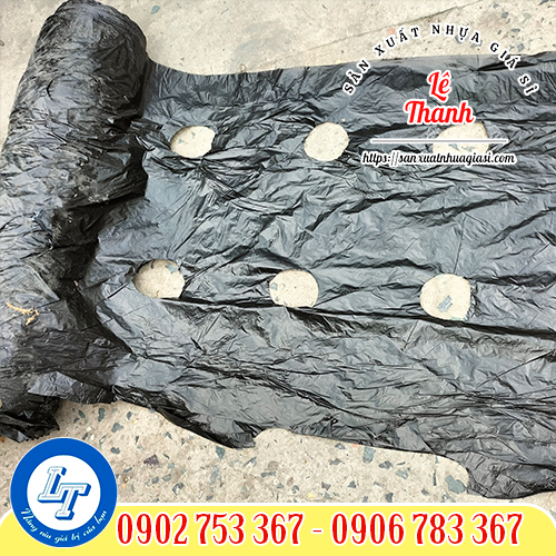 Màng phủ nông nghiệp đục lỗ 2 hàng Màng phủ nông nghiệp đục lỗ 2 hàng