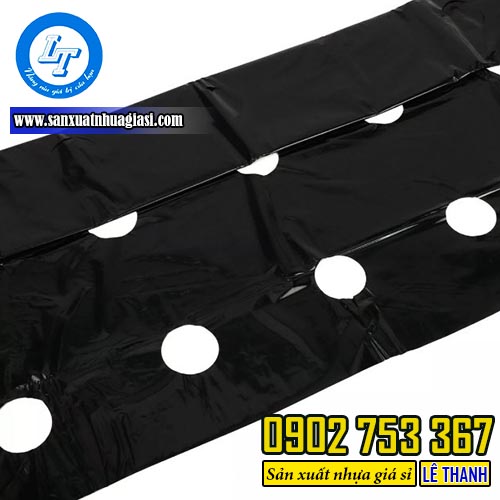 Màng phủ nông nghiệp có đục lỗ theo kích thước chuẩn