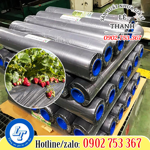 màng phủ nông nghiệp giá rẻ tại Lê Thanh