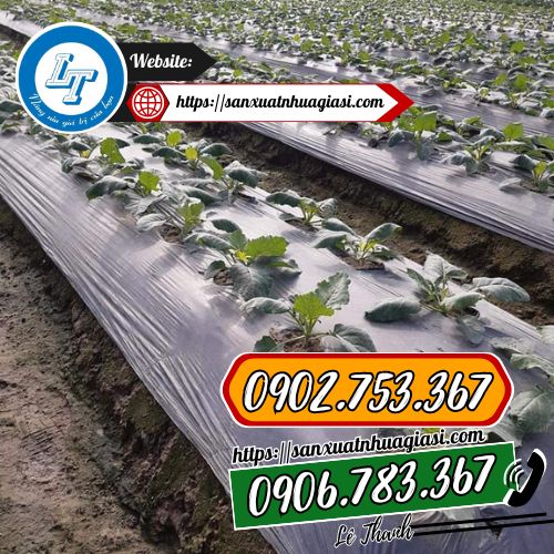 Ứng dụng màng phủ nông nghiệp trong trồng trọt Ứng dụng màng phủ nông nghiệp trong trồng trọt