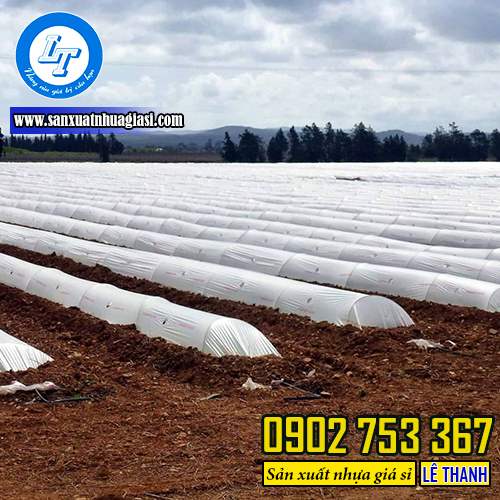 Màng phủ nông nghiệp - lớp chắn cho cây trồng Màng phủ nông nghiệp - lớp chắn cho cây trồng
