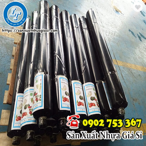 Màng phủ nông nghiệp trồng cây ớt giá rẻ
