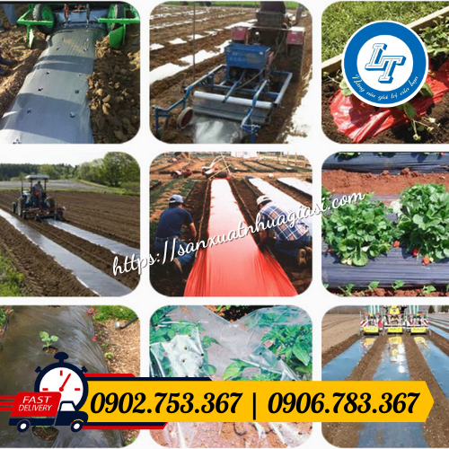 Ứng dụng màng phủ nông nghiệp vào cây trồng Ứng dụng màng phủ nông nghiệp vào cây trồng