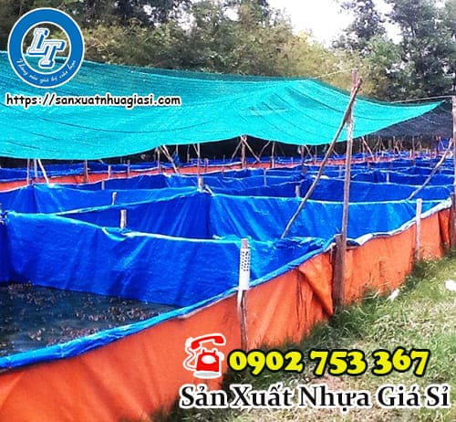 Mô hình nuôi ao cá bằng bạt nhựa lót xanh cam