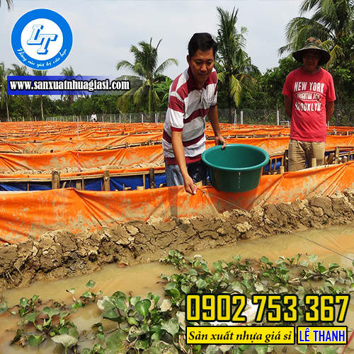 Mô hình nuôi cá trong bạt nhựa