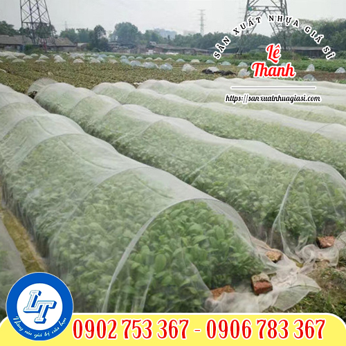 Mô hình trồng rau sạch từ lưới mùng Mô hình trồng rau sạch từ lưới mùng