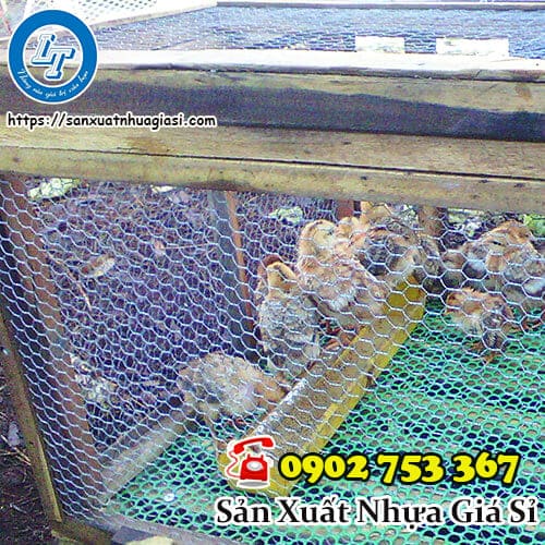 Mua lưới làm chuồng gà