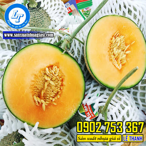 Mút xốp bọc dưa lưới 22cm