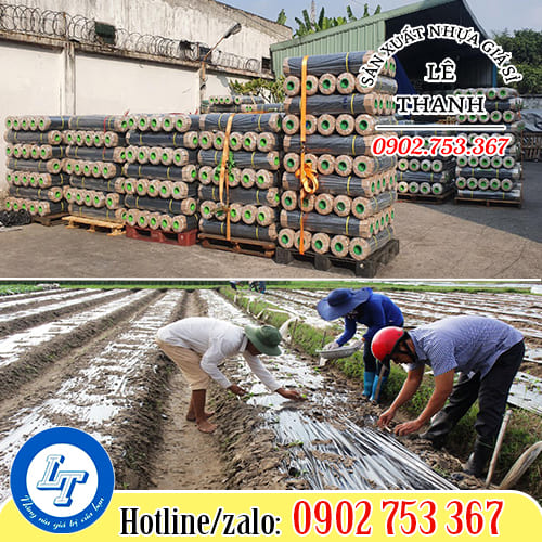 Nguồn sỉ màng phủ nông nghiệp