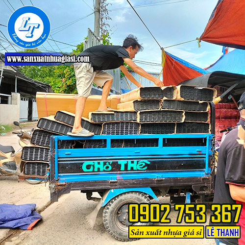 Nhận đơn sỉ bầu ươm thông minh Nhận đơn sỉ bầu ươm thông minh