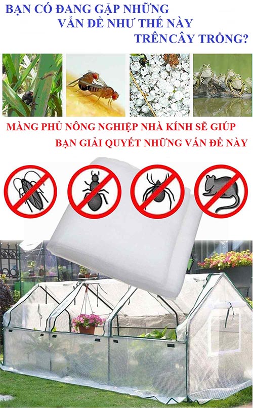 Tính năng nổi bật của màng nông nghiệp phủ nhà kính